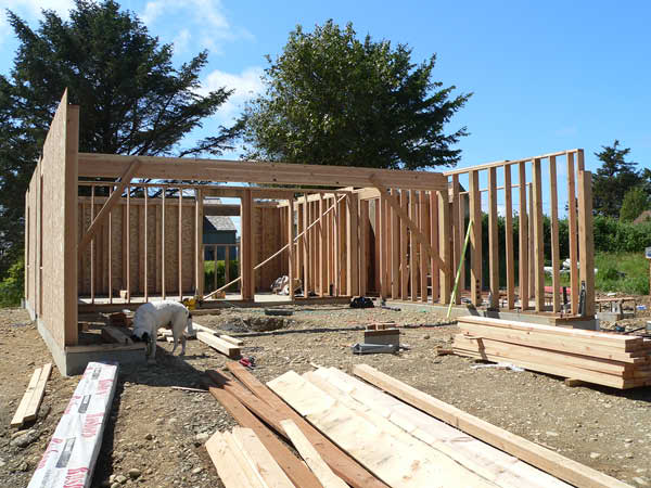 Framing-1