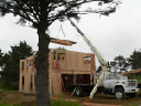 Lumber-1