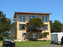 Sun-1
