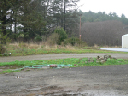 RV Pad #3