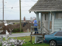 Seagulls 2